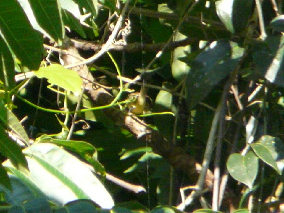 FIGURE 2 FIGURE 2